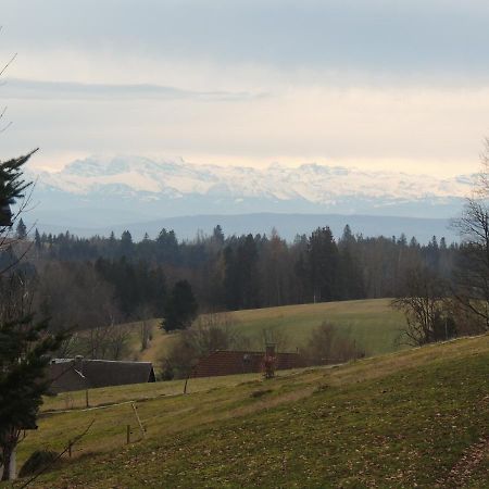 Haus Ingeborg Lejlighed Dachsberg im Schwarzwald Eksteriør billede