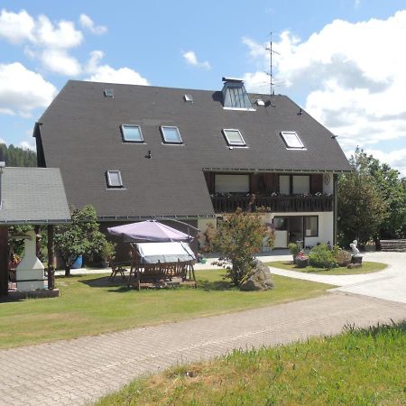 Haus Ingeborg Lejlighed Dachsberg im Schwarzwald Eksteriør billede
