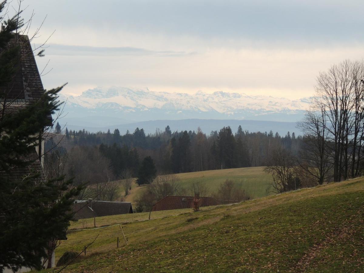 Haus Ingeborg Lejlighed Dachsberg im Schwarzwald Eksteriør billede