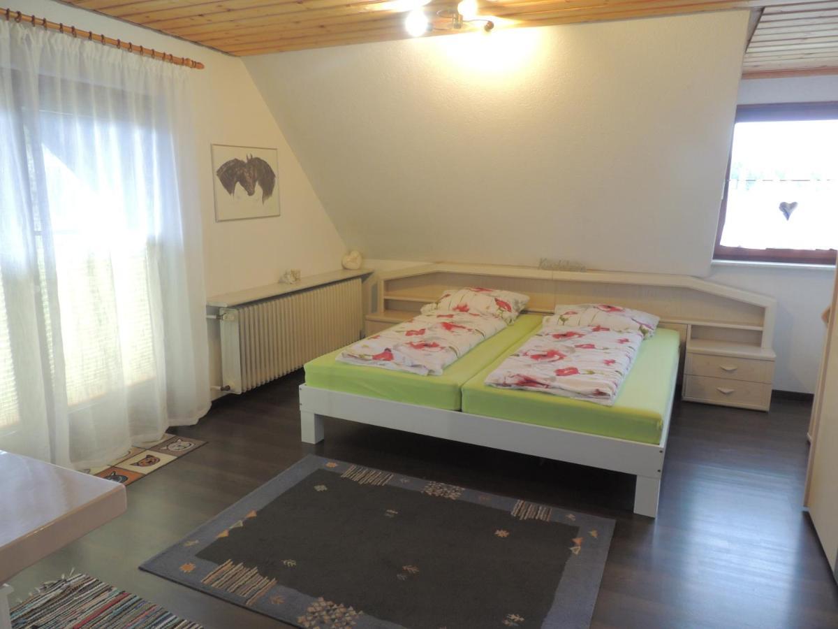 Haus Ingeborg Lejlighed Dachsberg im Schwarzwald Eksteriør billede