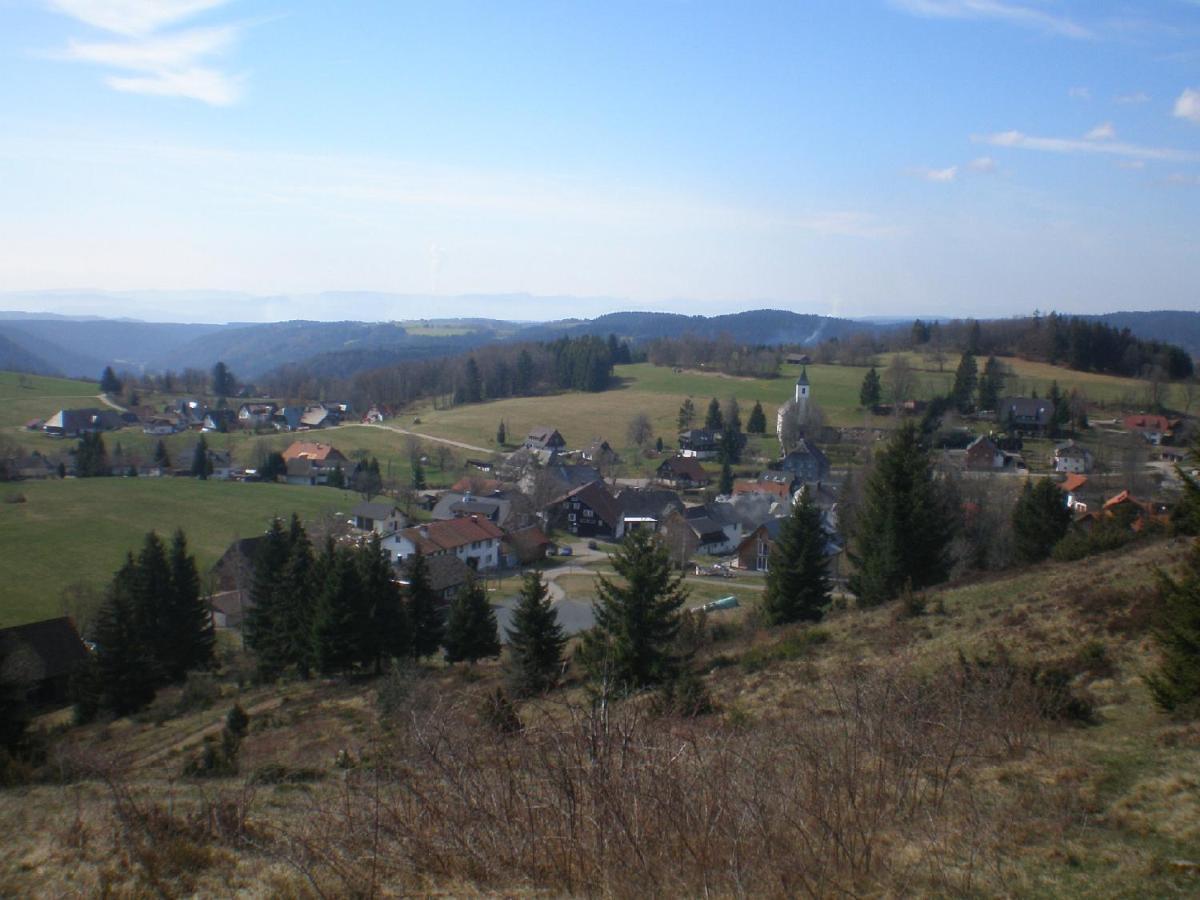 Haus Ingeborg Lejlighed Dachsberg im Schwarzwald Eksteriør billede