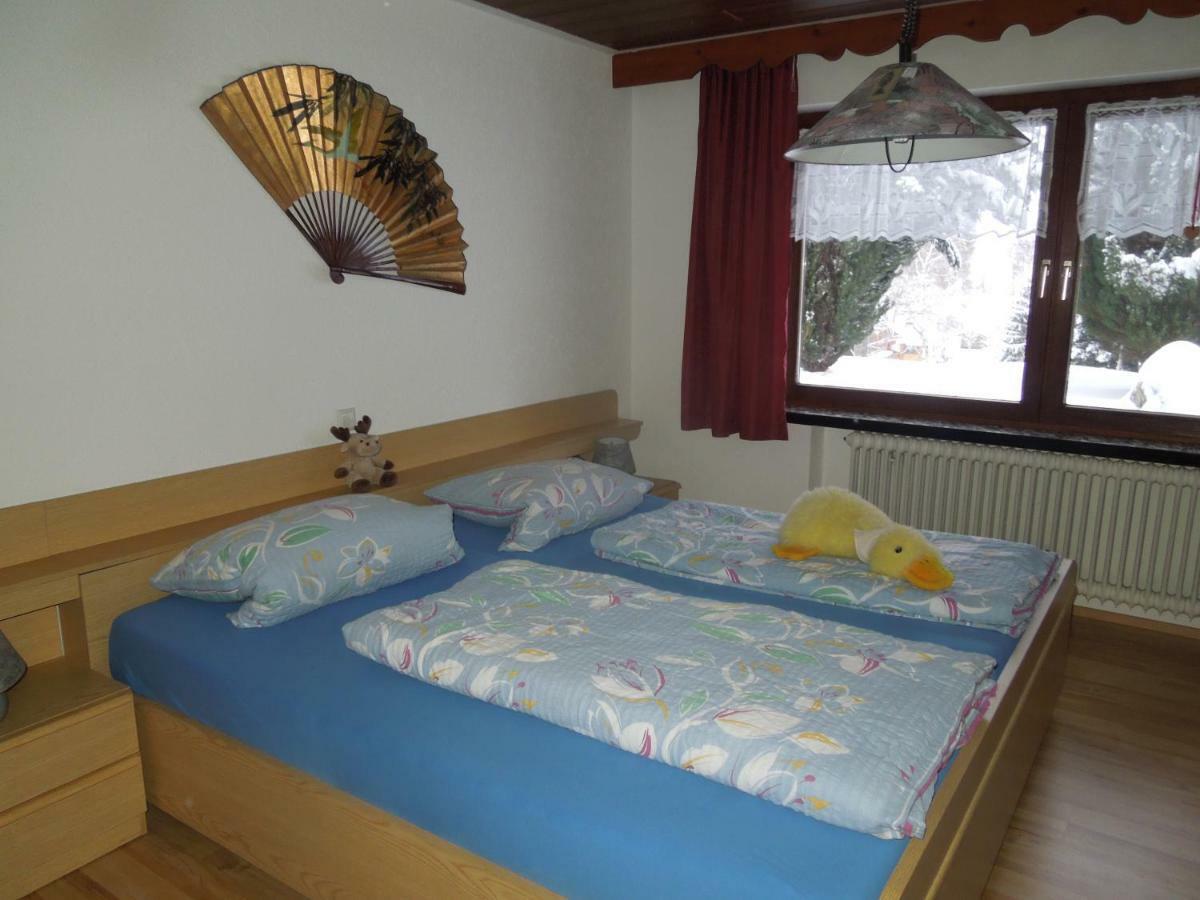 Haus Ingeborg Lejlighed Dachsberg im Schwarzwald Eksteriør billede
