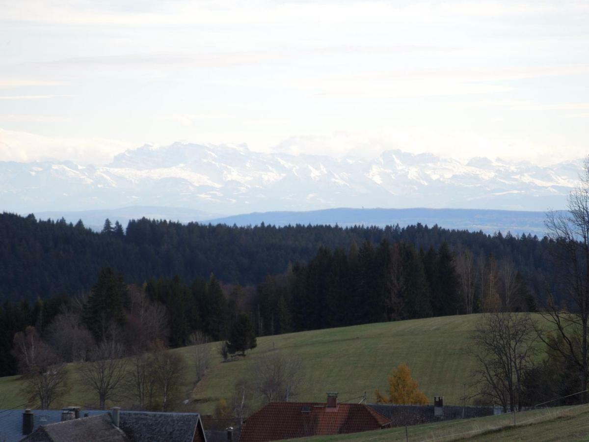 Haus Ingeborg Lejlighed Dachsberg im Schwarzwald Eksteriør billede