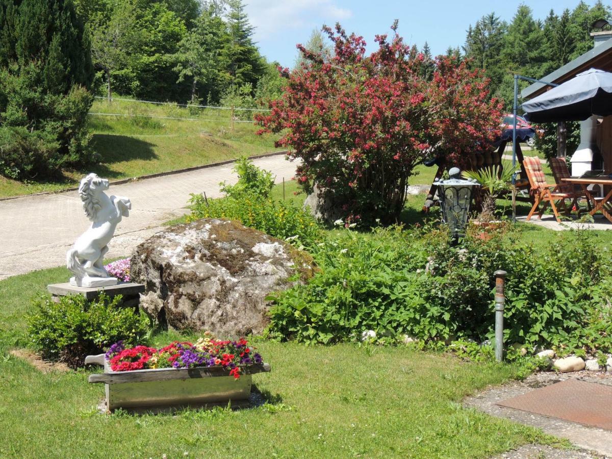 Haus Ingeborg Lejlighed Dachsberg im Schwarzwald Eksteriør billede
